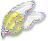 width="60"